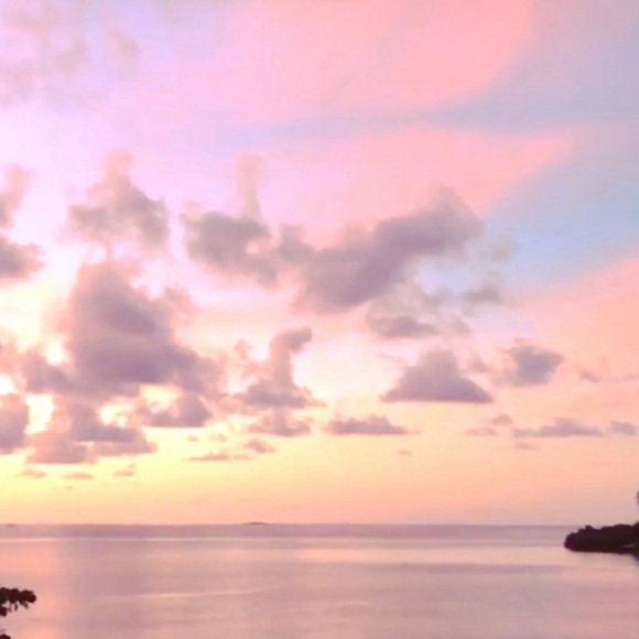 Meet your Posher, Carie - Picture 1 of 1